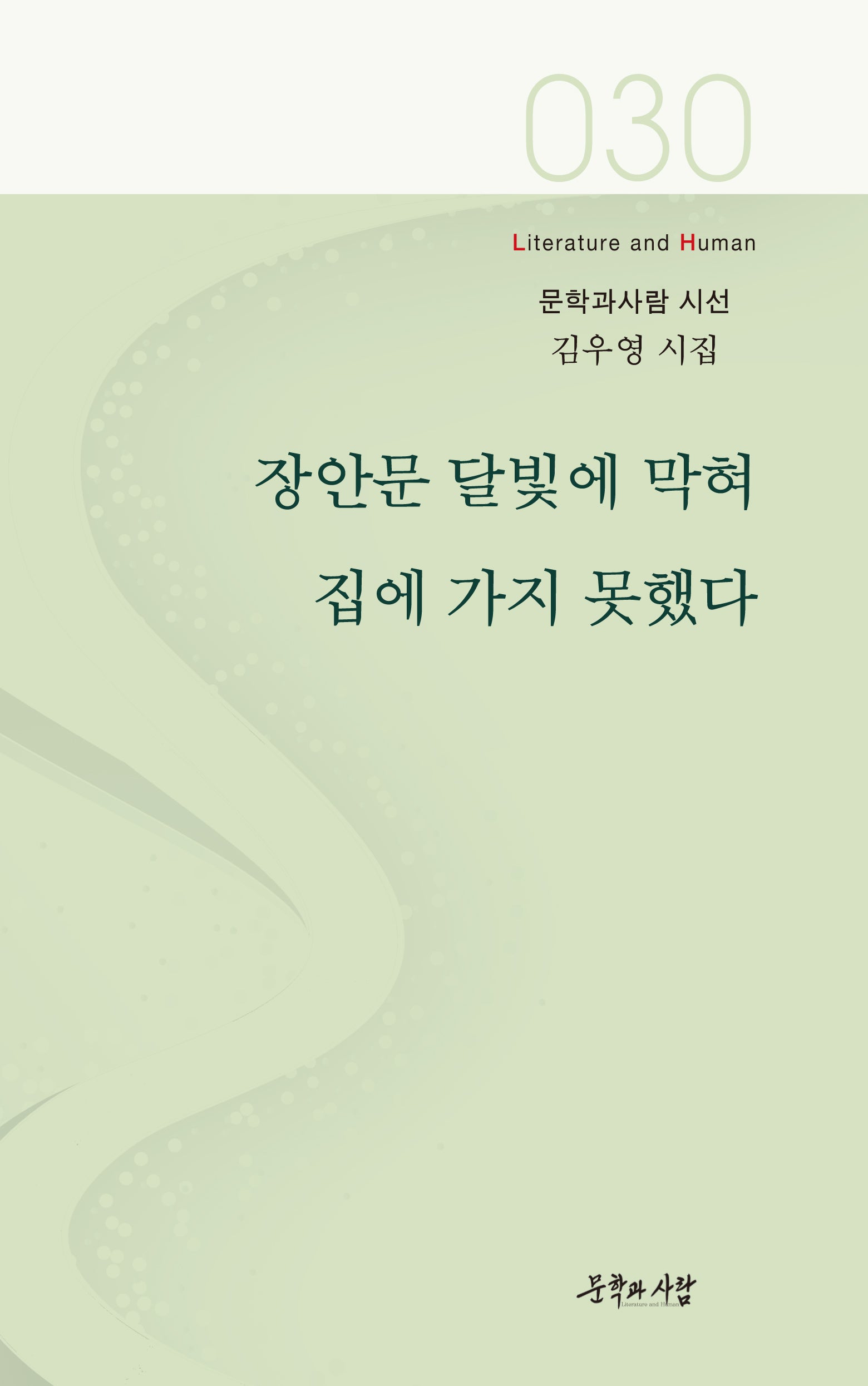 장안문 달빛에 막혀 집에 가지 못했다(문학과사람 시선 30)