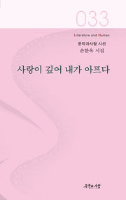 사랑이 깊어 내가 아프다(문학과사람 시선 33)