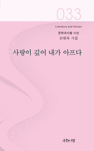 사랑이 깊어 내가 아프다(문학과사람 시선 33)
