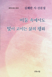 어둠 속에서도 빛이 고이는 삶의 평화(문학과사람 산문선)