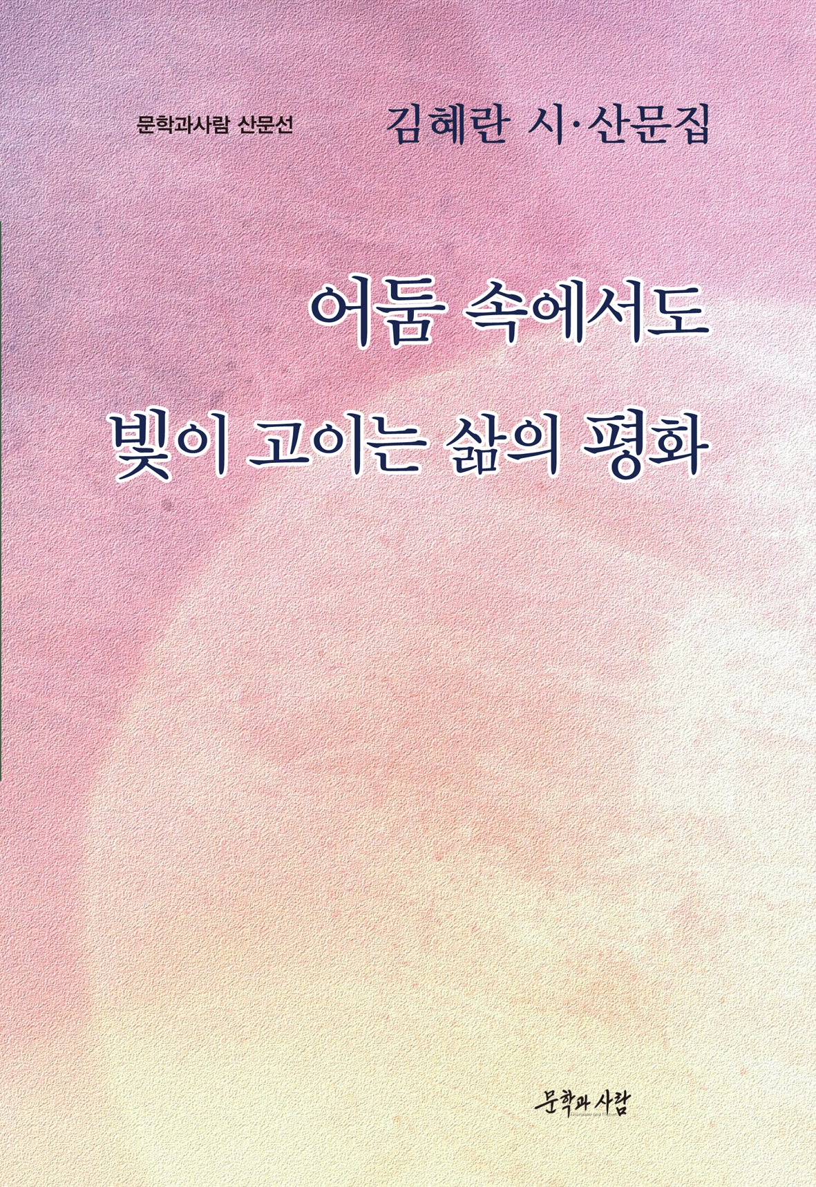 어둠 속에서도 빛이 고이는 삶의 평화(문학과사람 산문선)