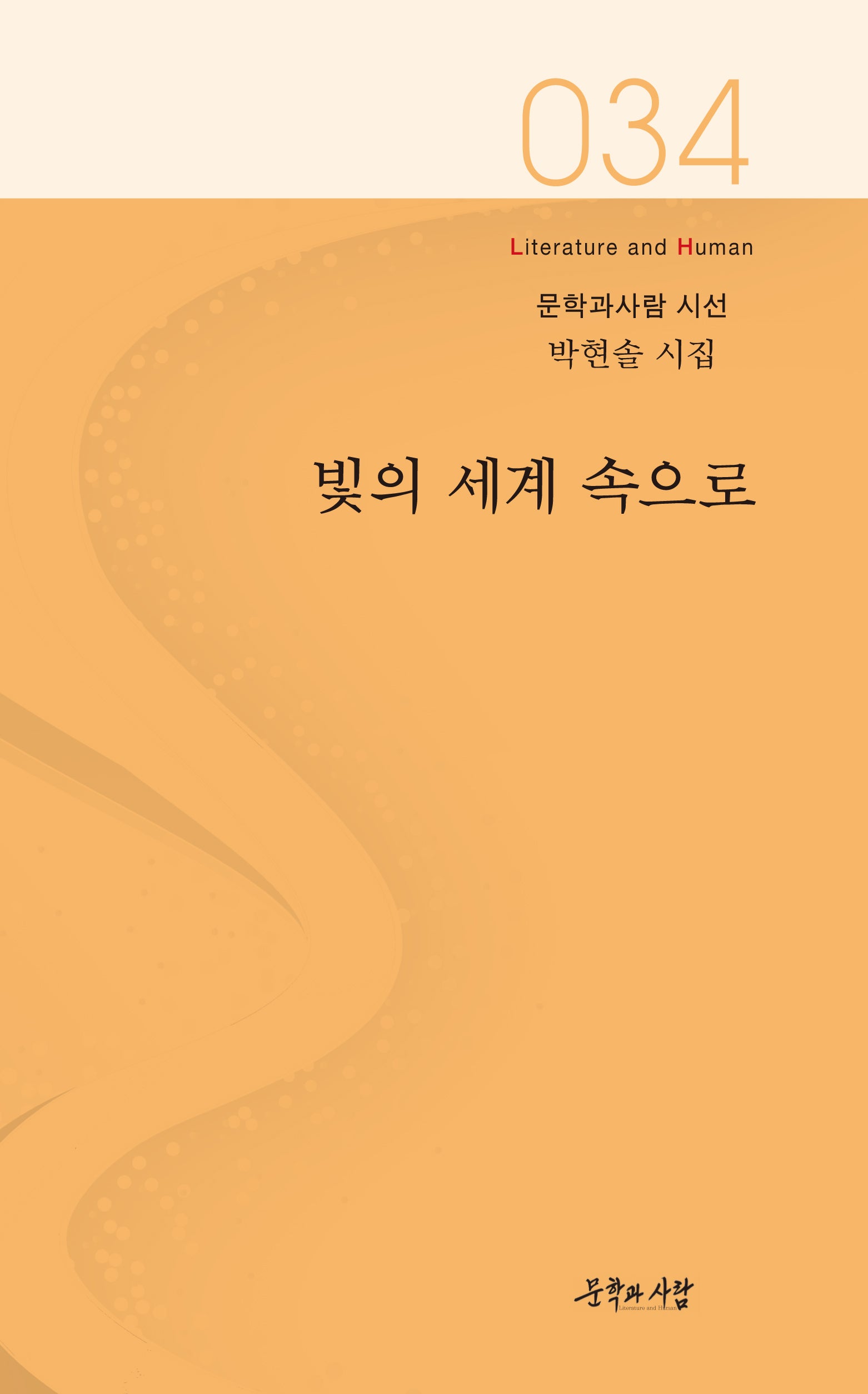 빛의 세계 속으로(문학과 사람 시선 34)