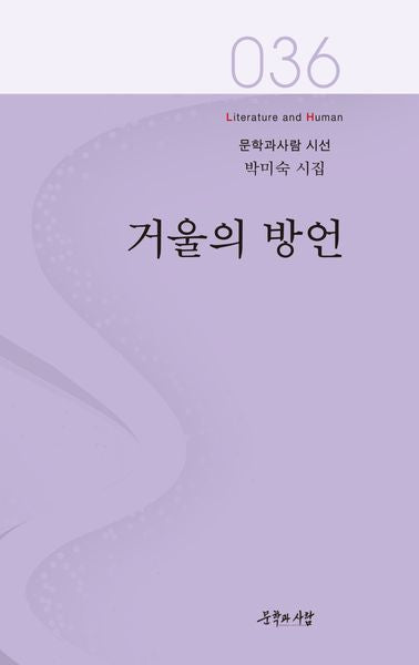 거울의 방언(문학과사람 시선 36)