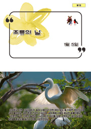 조류의 날(b12)