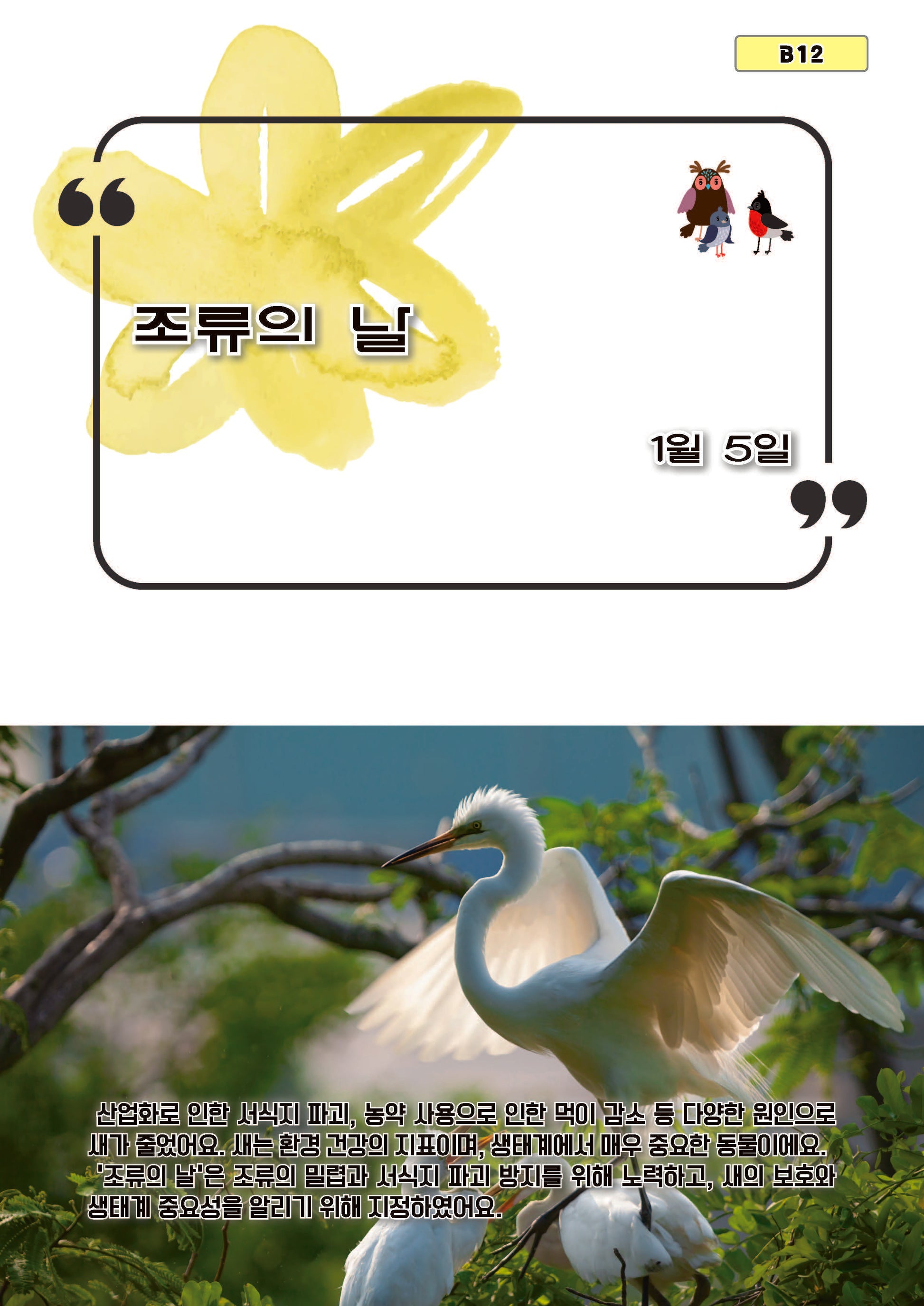 조류의 날(b12)