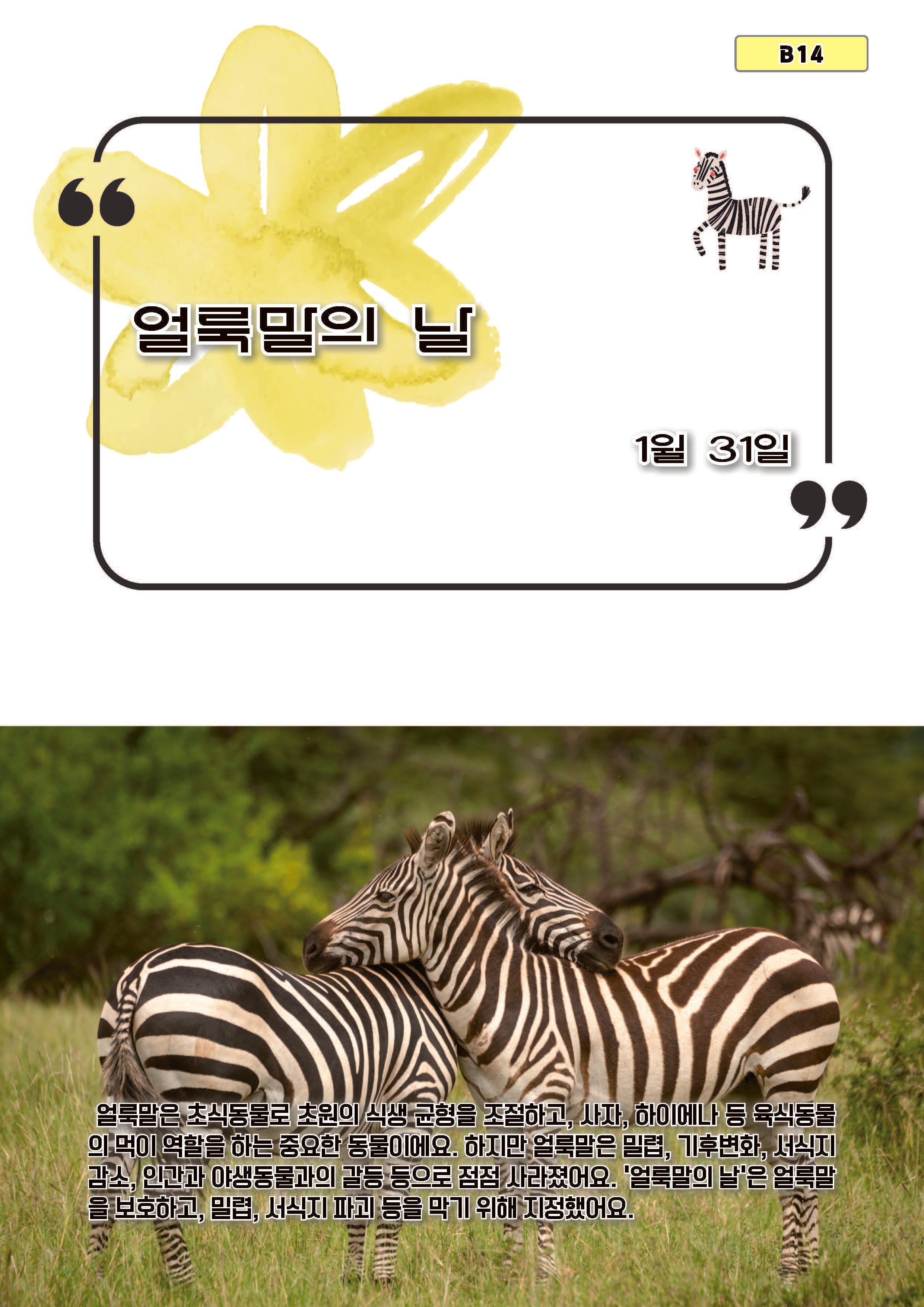 얼룩말의 날(b14)