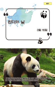 판다의 날(B31)