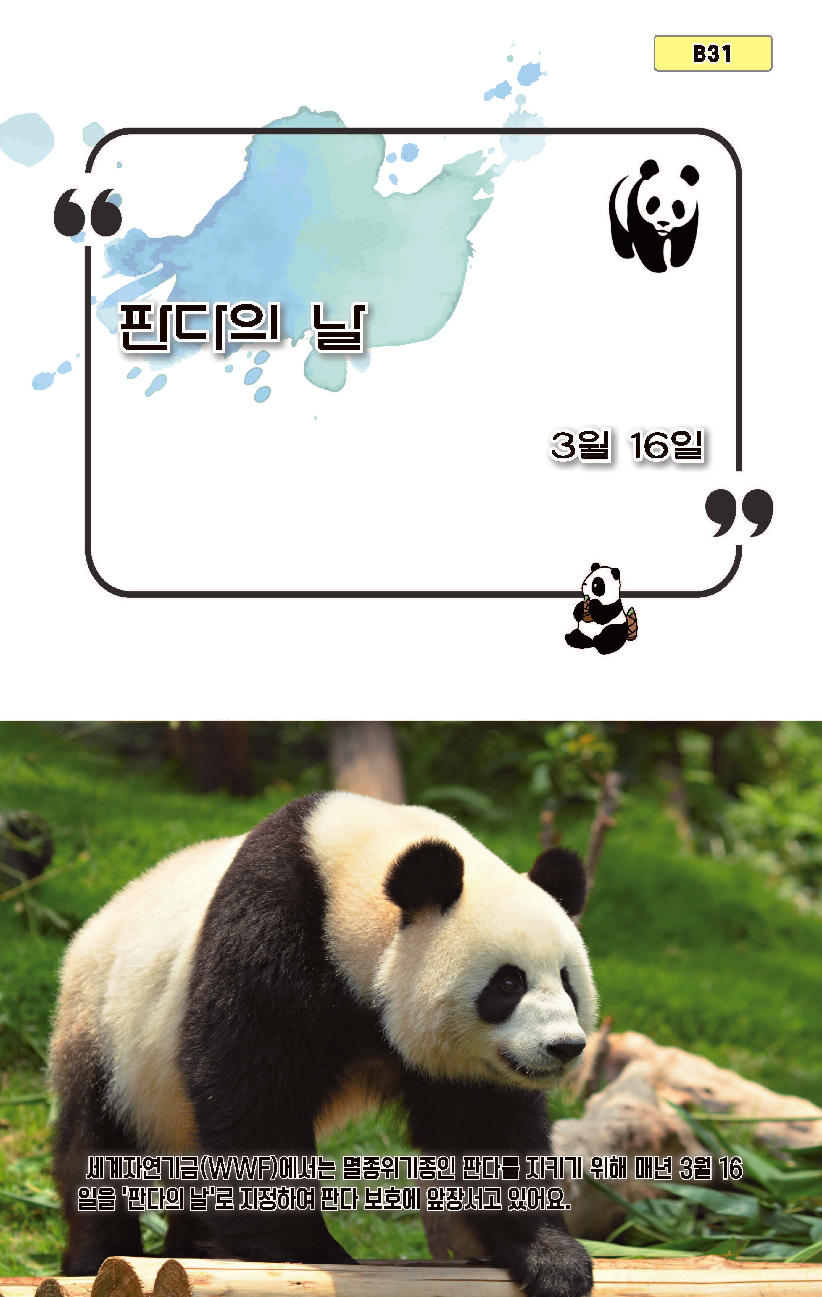 판다의 날(B31)