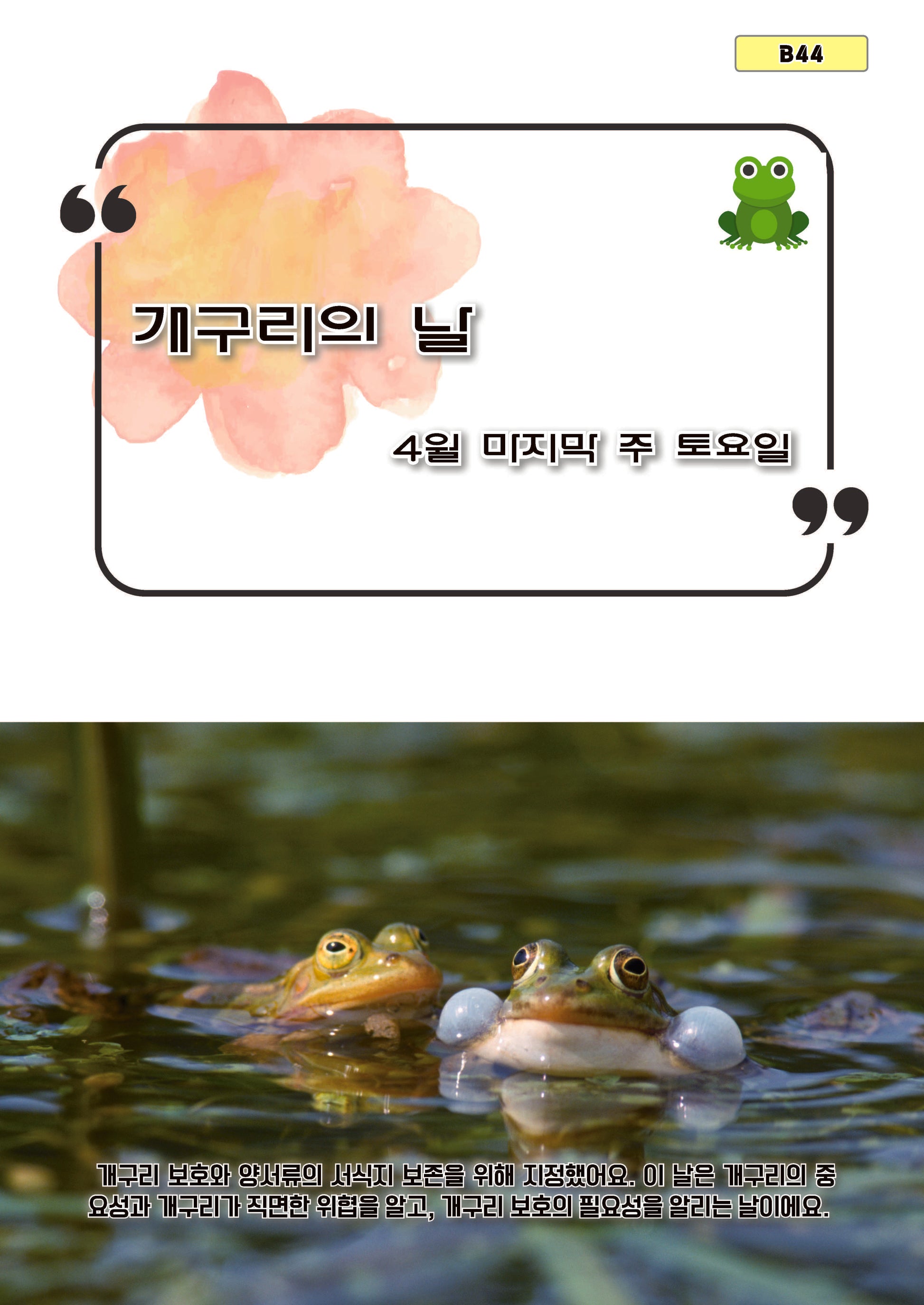 개구리의 날(b44)
