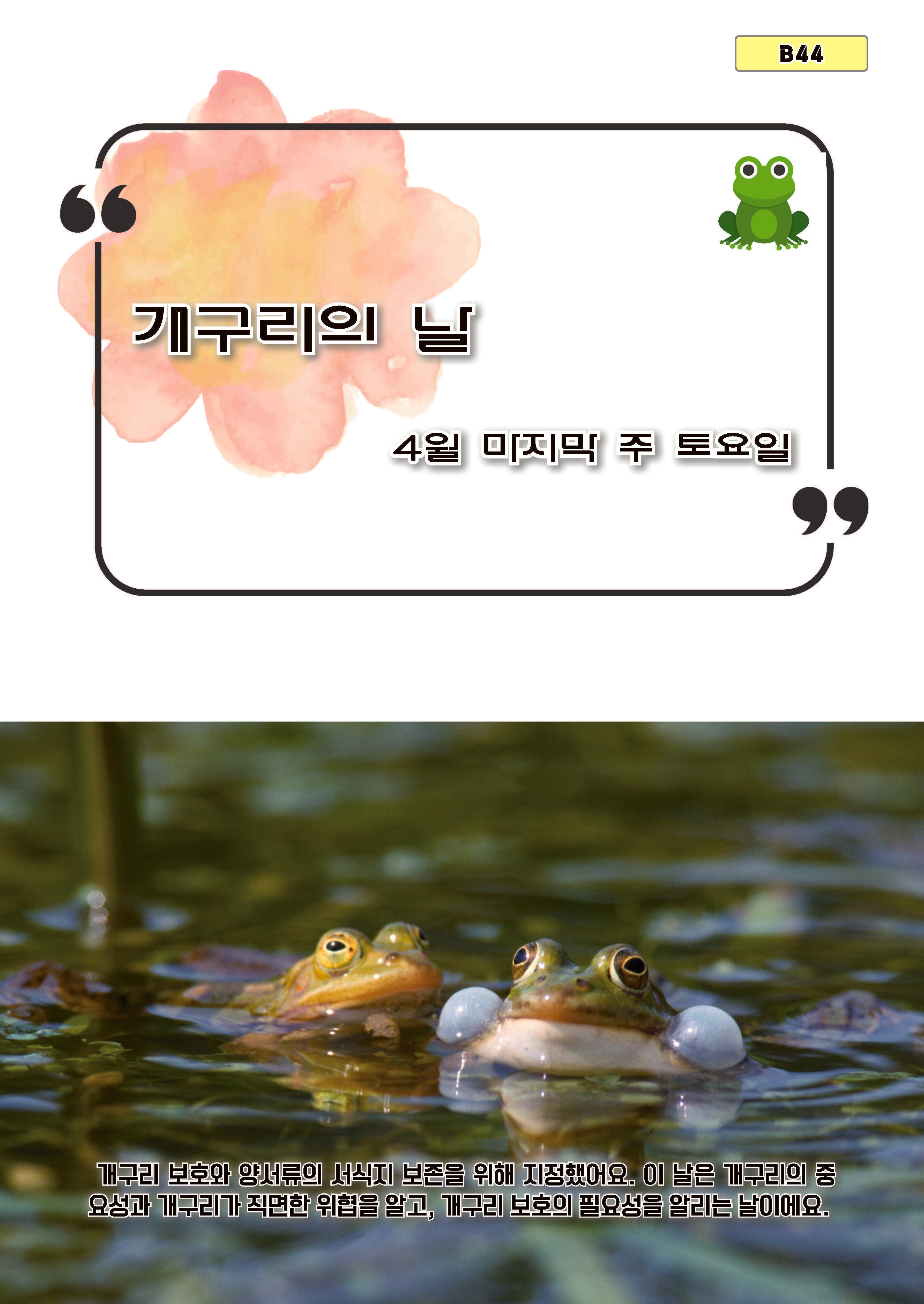 개구리의 날(b44)