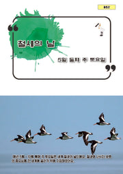 철새의 날(b52)
