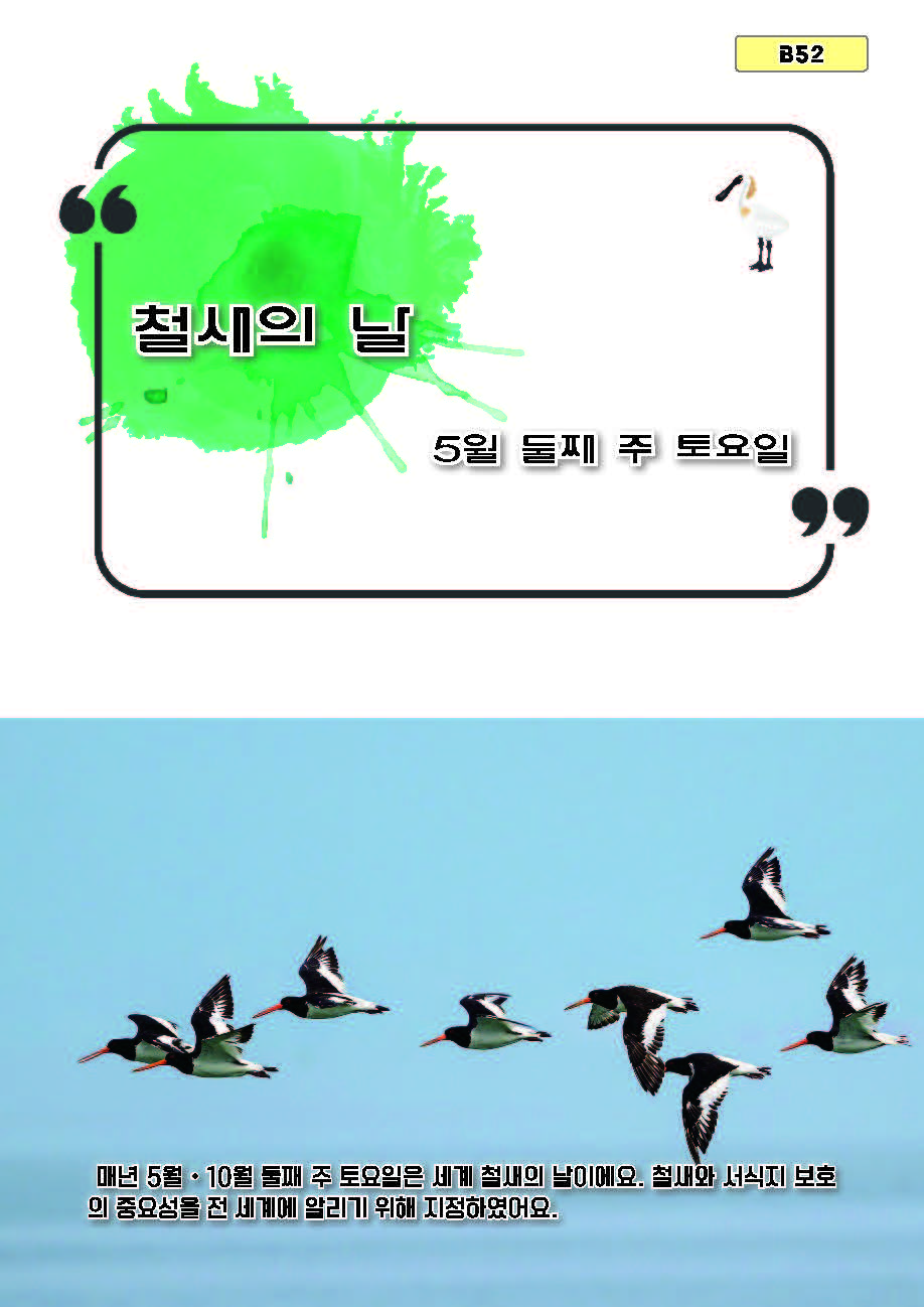 철새의 날(b52)