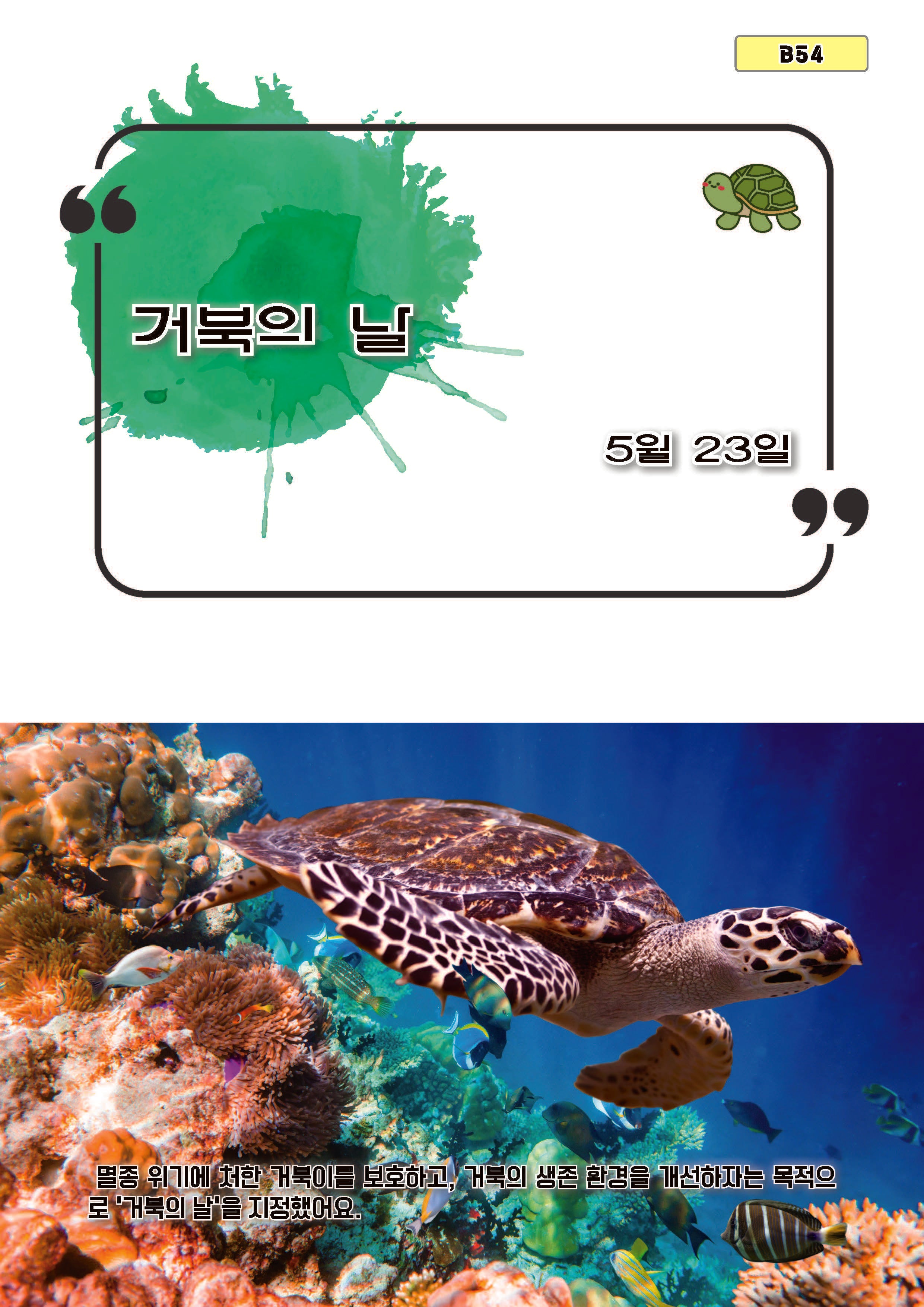 거북의 날(B54)