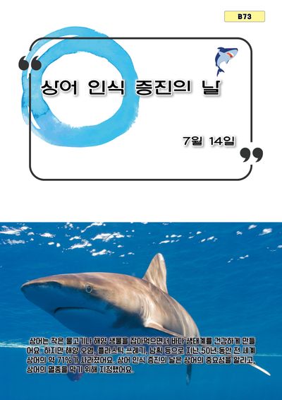 상어 인식 증진의 날(B 73)