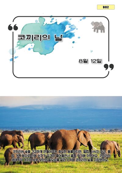 코끼리의 날(B 82)