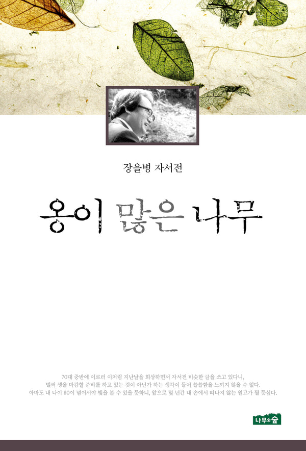 옹이 많은 나무