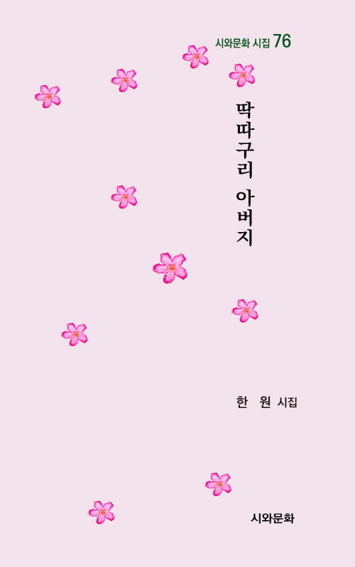 딱따구리 아버지(시와문화 시집 76)