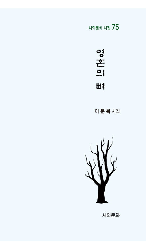 영혼의 뼈(시와문화 시집 75)