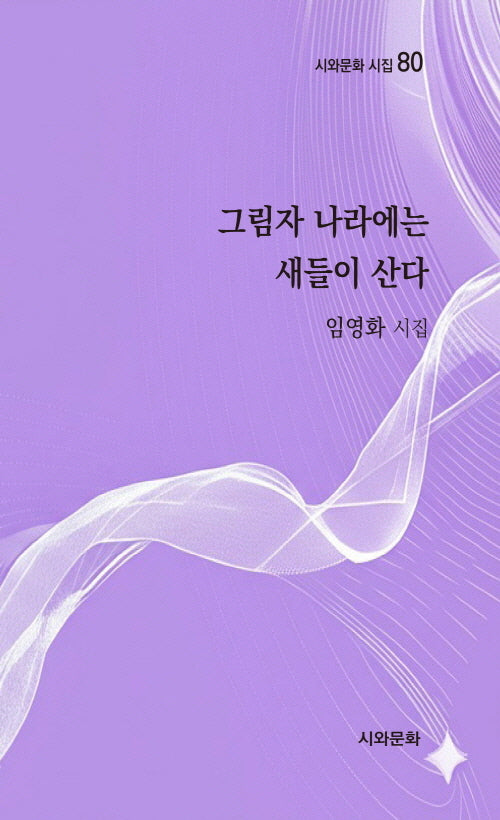 그림자 나라에는 새들이 산다(시와문화 시집 80)
