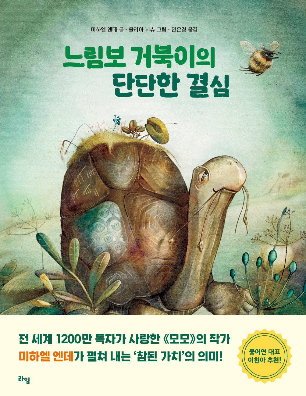 느림보 거북이의 단단한 결심(라임 어린이 문학 50)