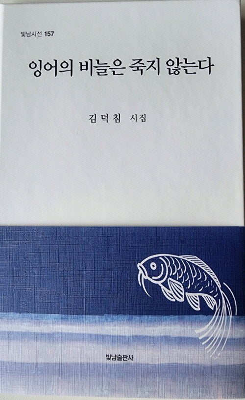 잉어의 비늘은 죽지 않는다