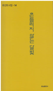 흔들리지 않는 달빛(빛남시선 159)