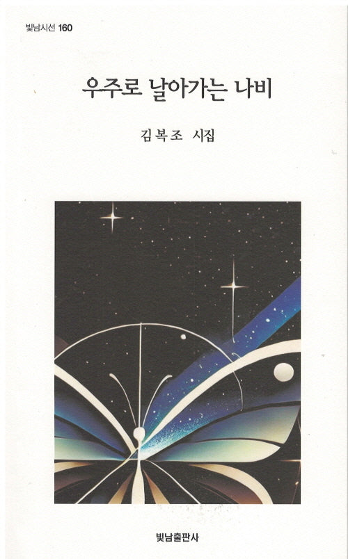우주로 날아간 나비(빛남시선 160)