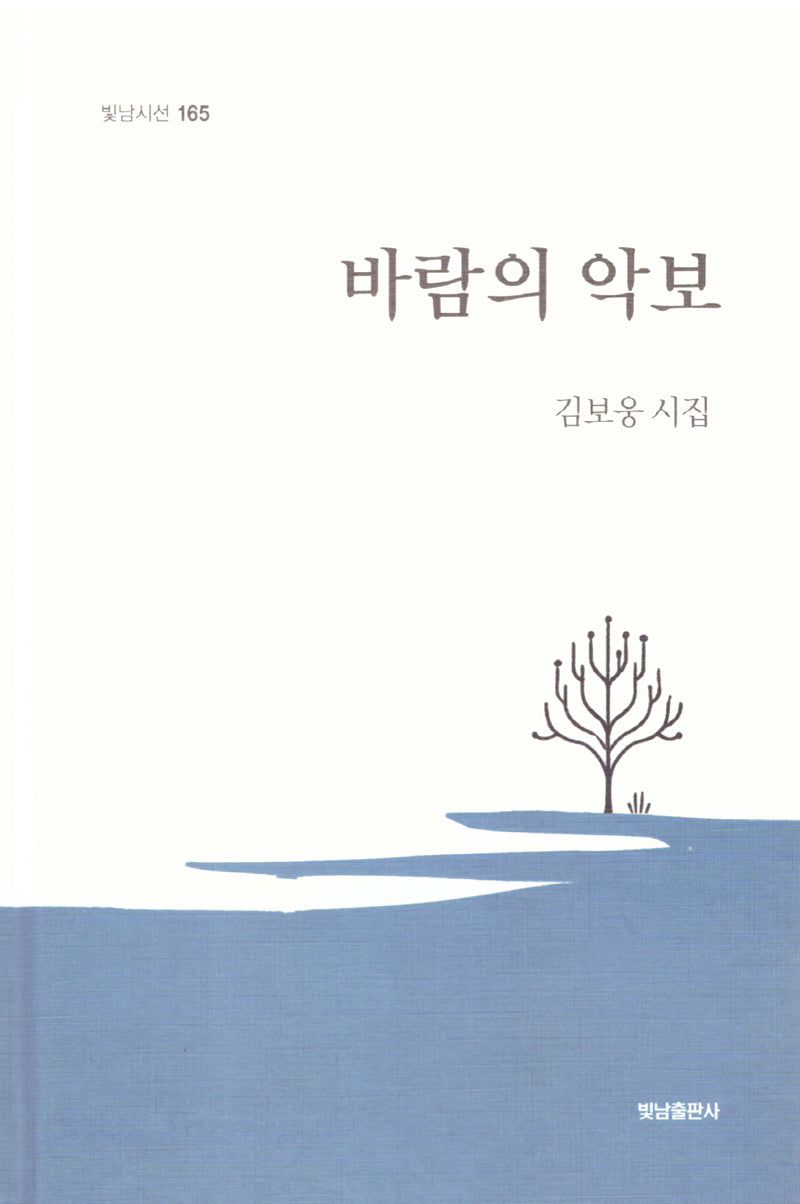 바람의 악보(빛남시선 165)