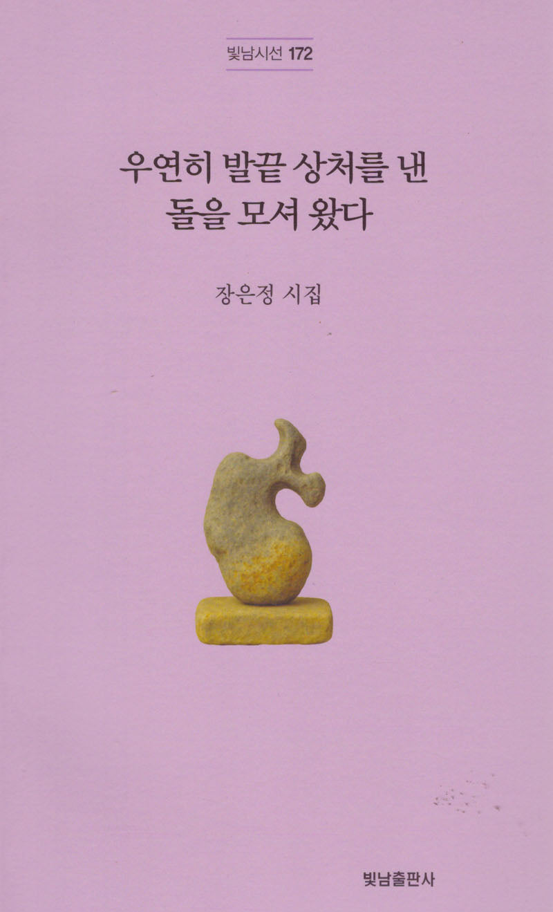 우연히 발끝 상처를 낸 돌을 모셔 왔다