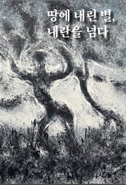 땅에 내린 별, 내란을 넘다
