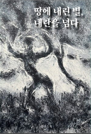 땅에 내린 별, 내란을 넘다