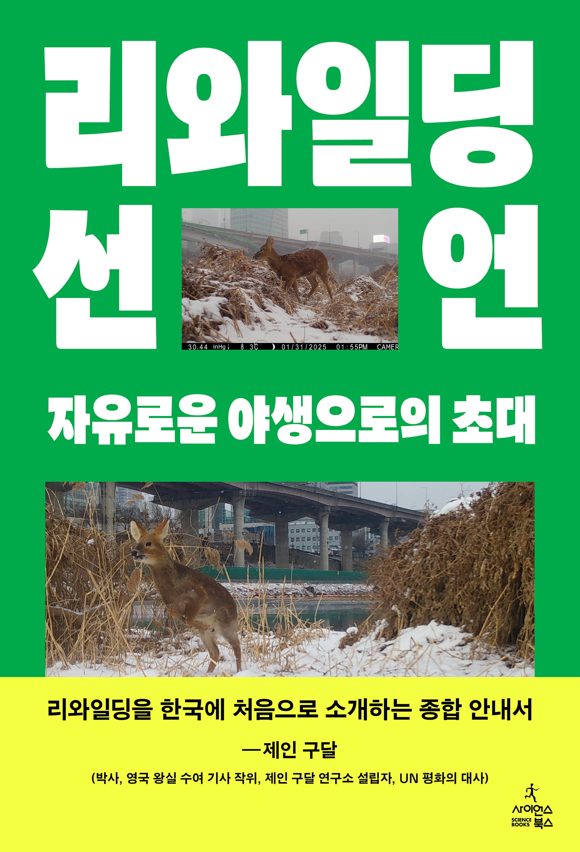 리와일딩 선언(반양장)