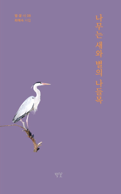 나무는 새와 별의 나들목(별·꽃·시 8)