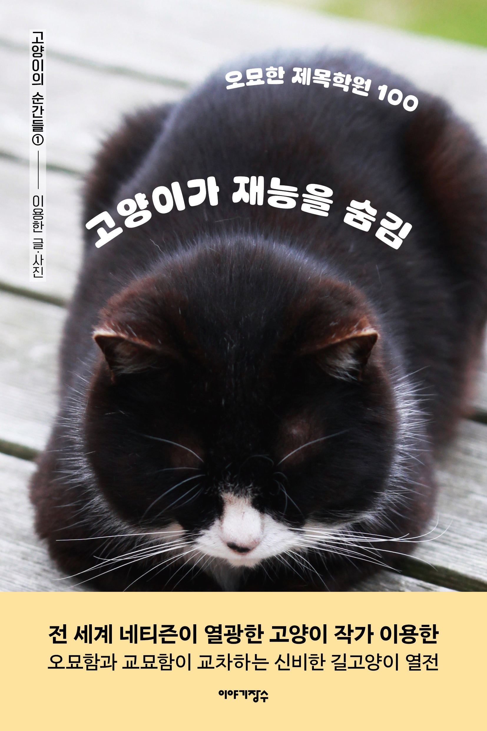 고양이가 재능을 숨김(고양이의 순간들 1)