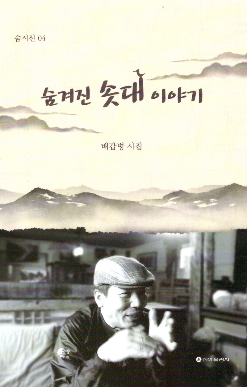 숨겨진 솟대 이야기(숨시선 4)