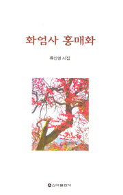 화엄사 홍매화