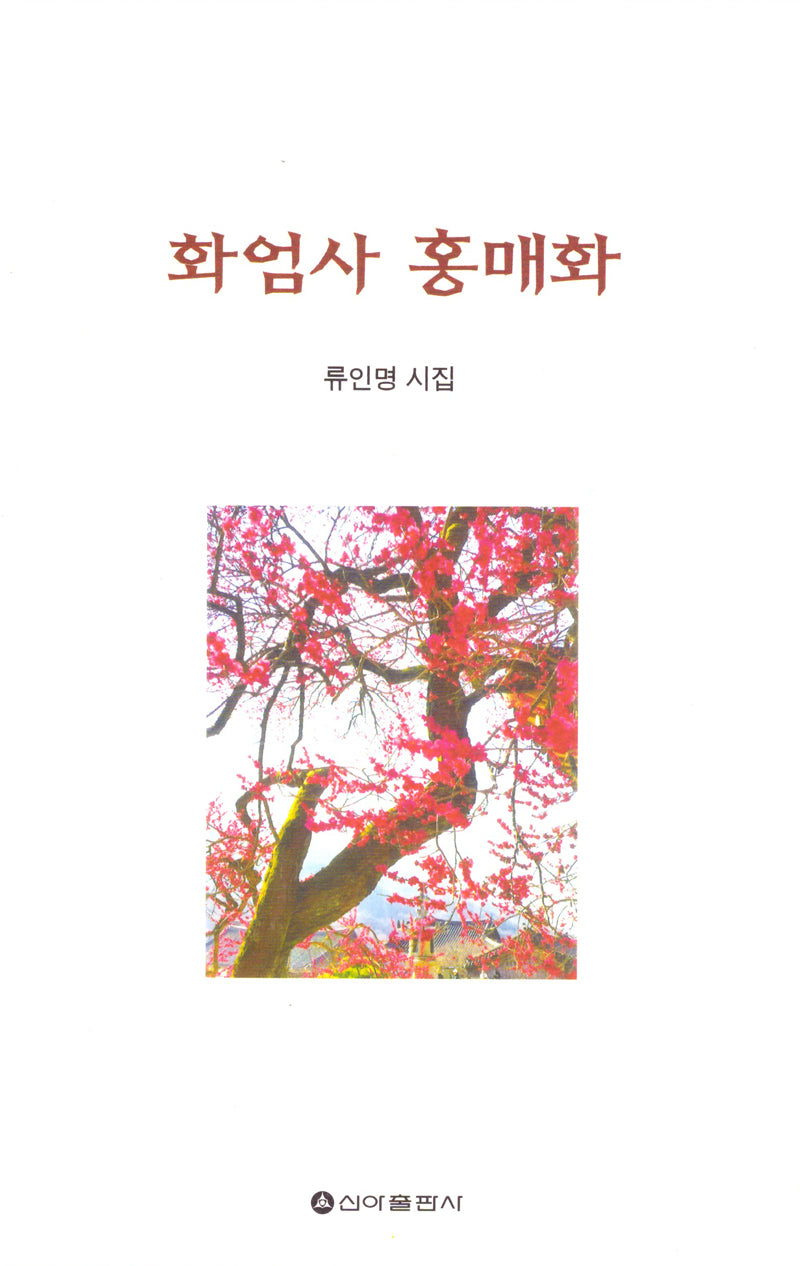 화엄사 홍매화