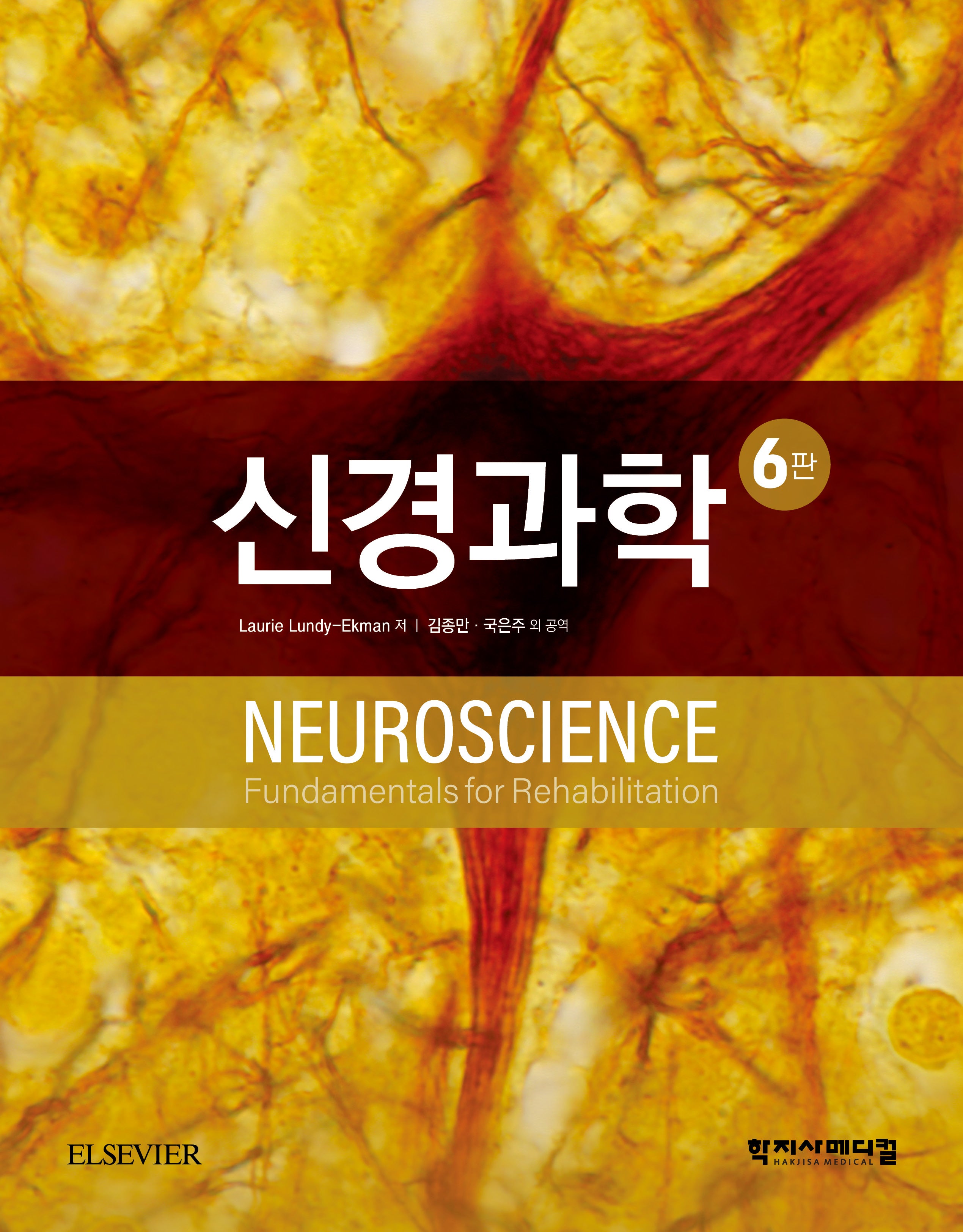 신경과학(6판)(양장본 Hardcover)