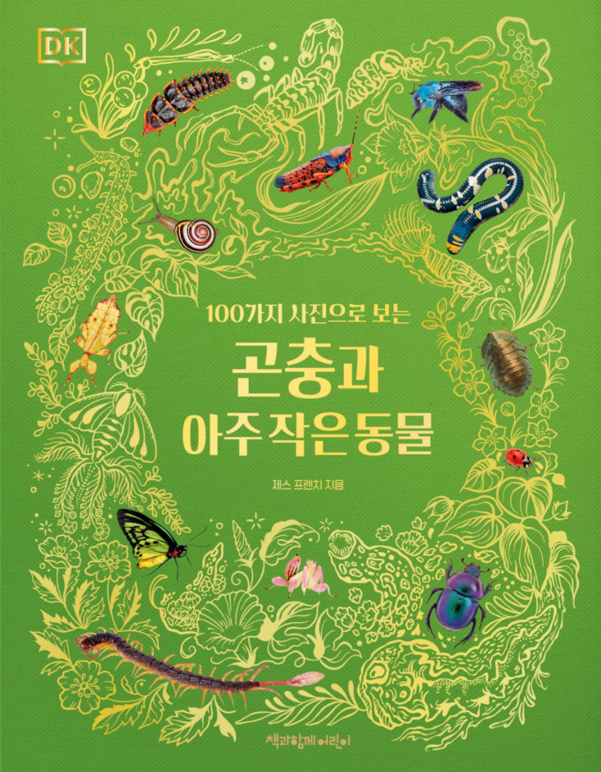DK 곤충과 아주 작은 동물(100가지 사진으로 보는)