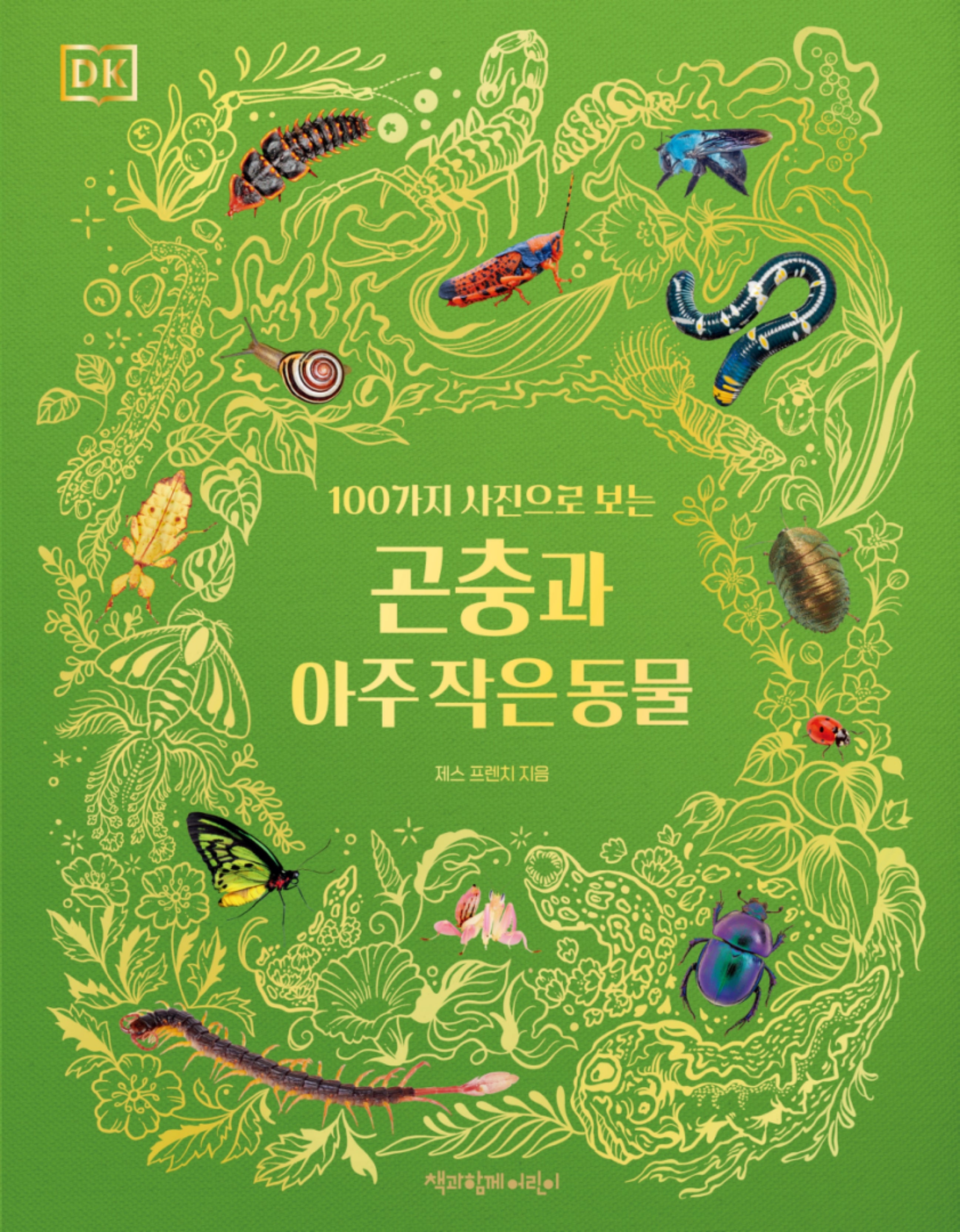DK 곤충과 아주 작은 동물(100가지 사진으로 보는)