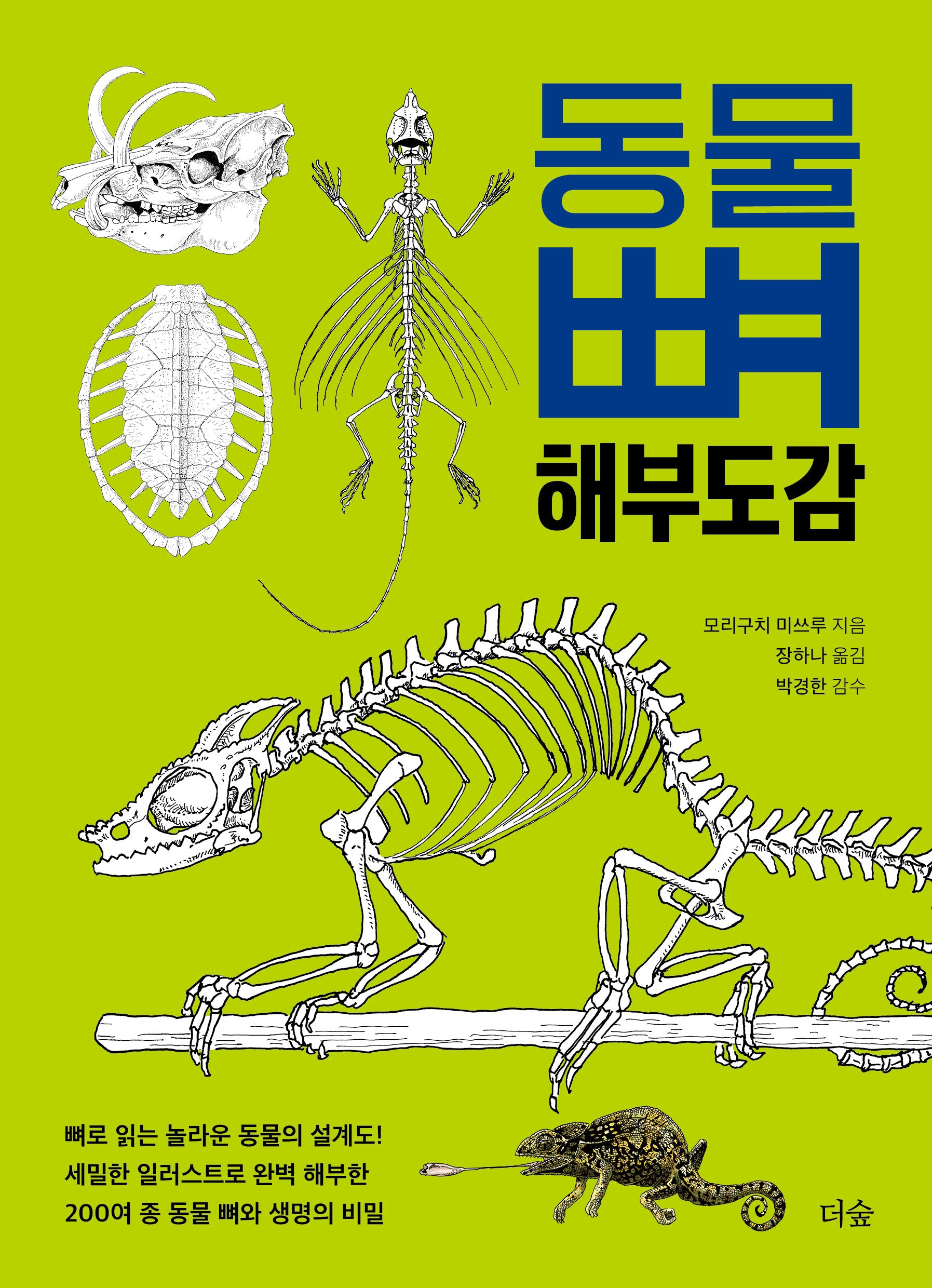 동물 뼈 해부도감