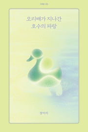 오리배가 지나간 호수의 파랑(아침달 시집 48)(반양장)