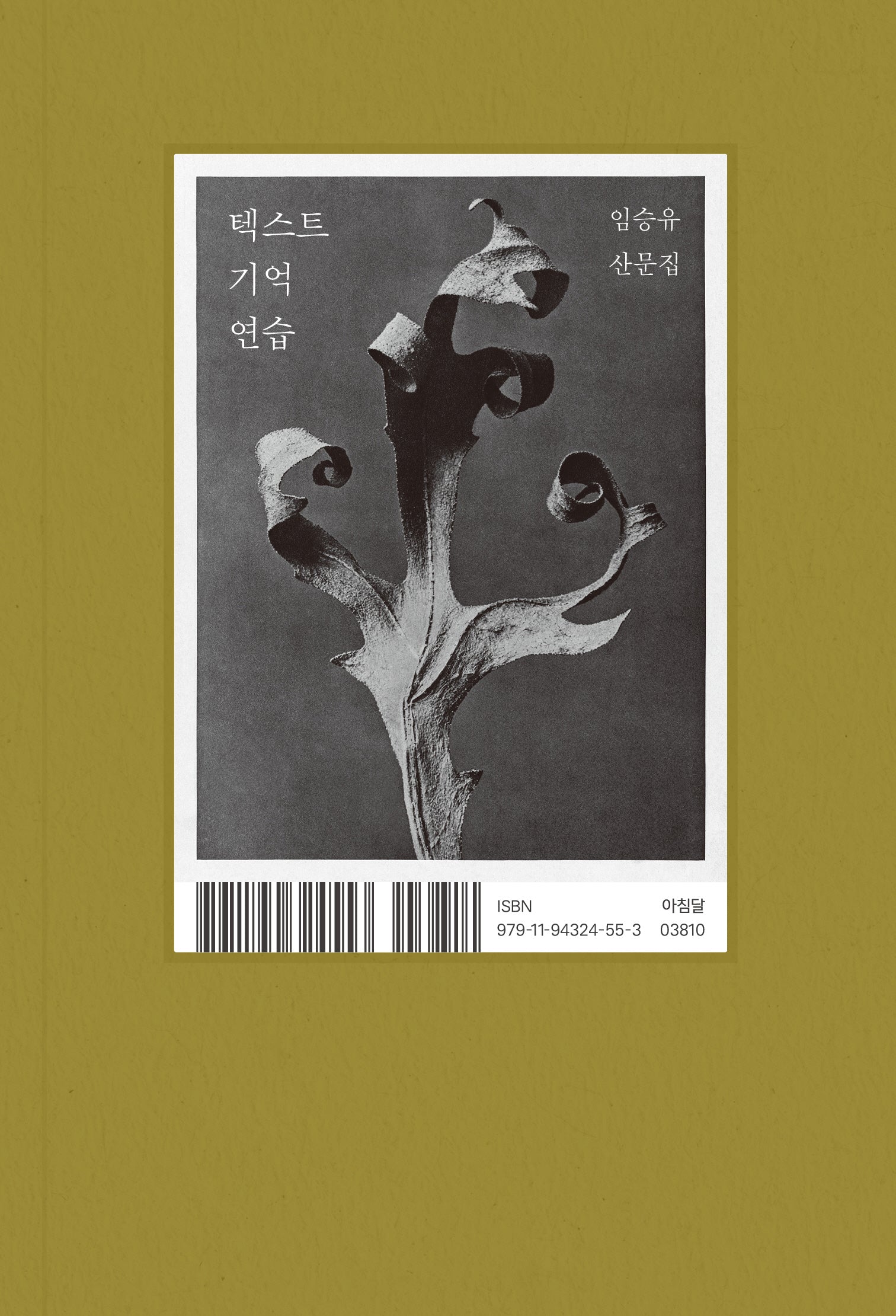 텍스트 기억 연습