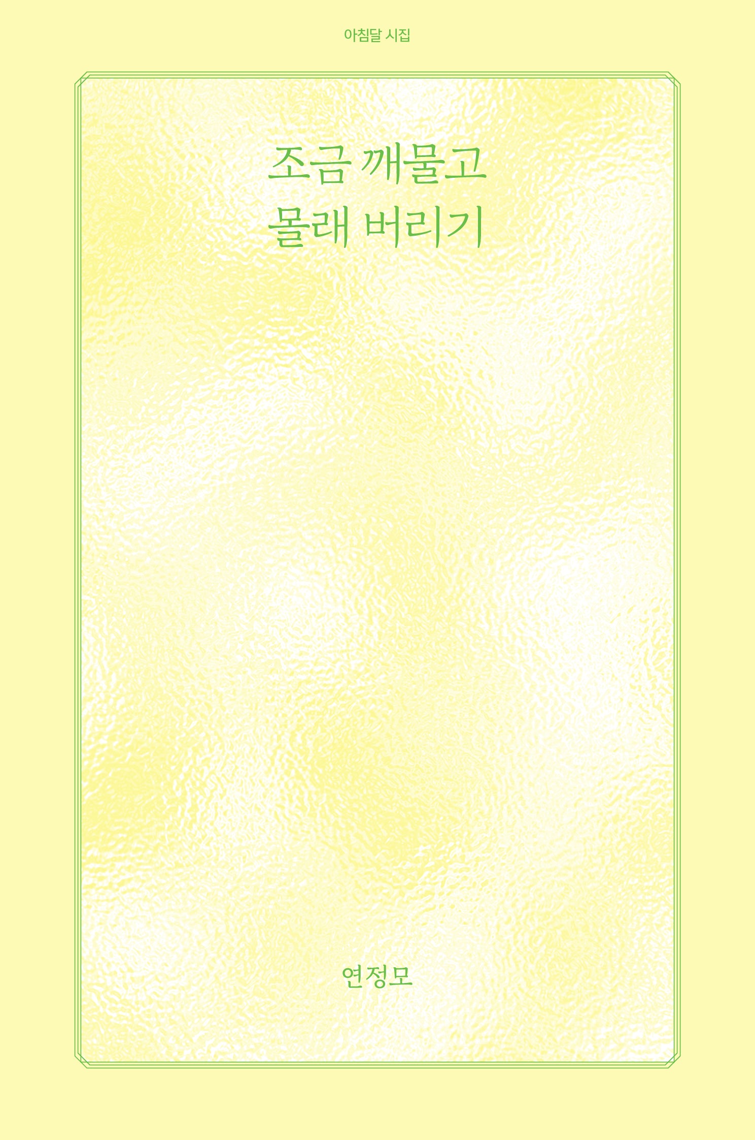 조금 깨물고 몰래 버리기(아침달 시집 55)