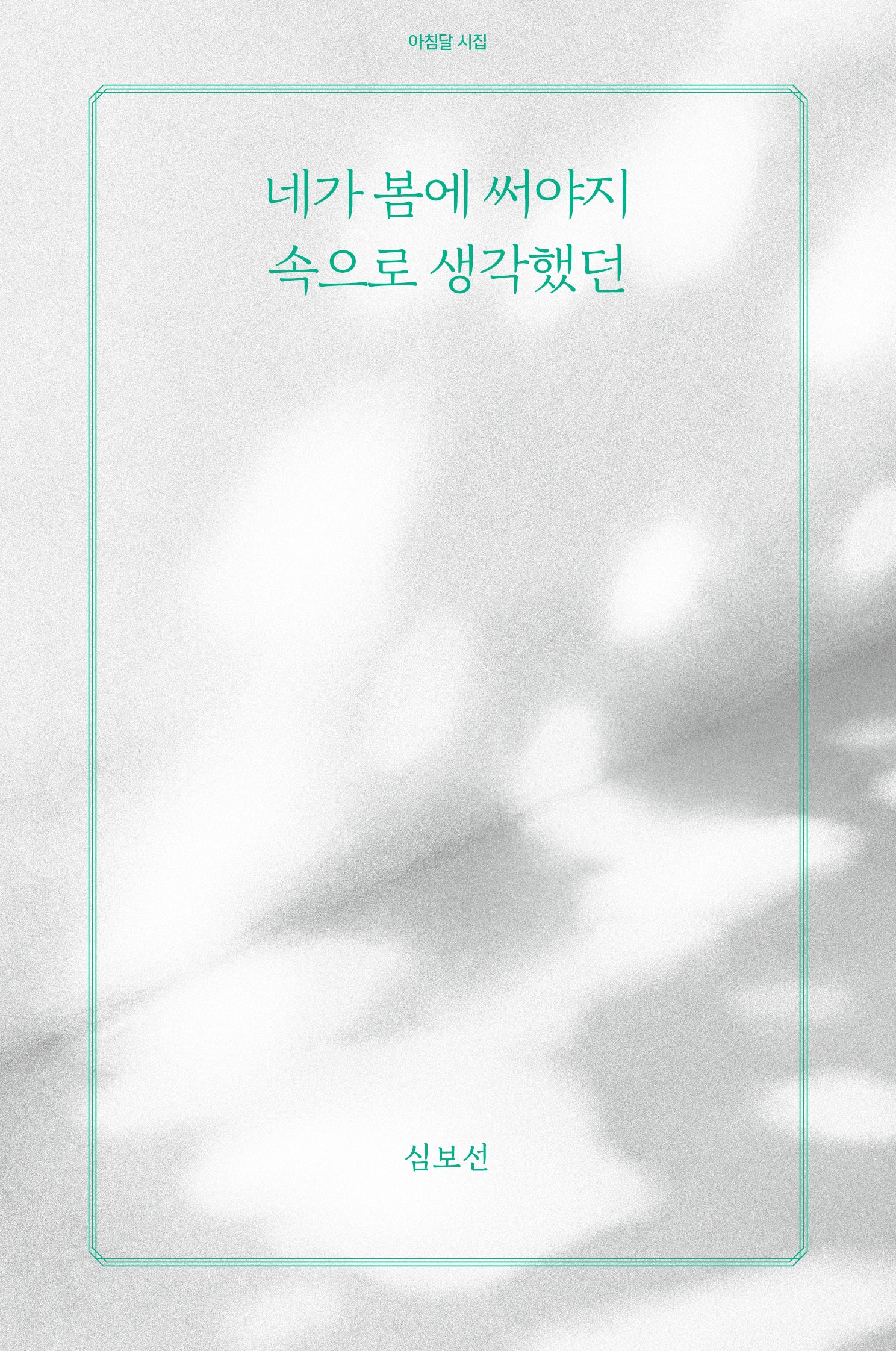 네가 봄에 써야지 속으로 생각했던(아침달 시집 50)