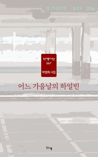 어느 가을날의 하얼빈(신생시선 67)