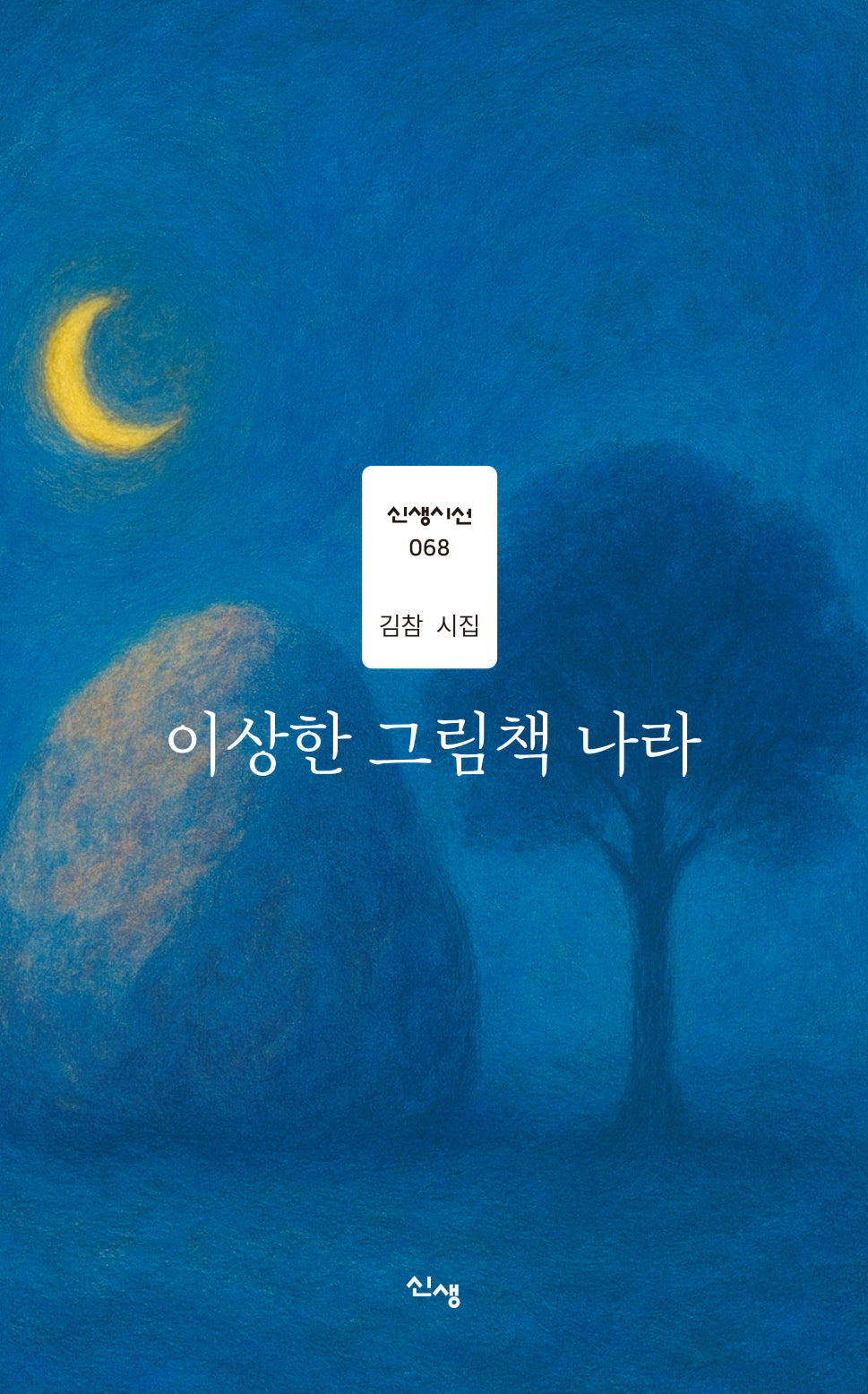 이상한 그림책 나라(신생시선 68)