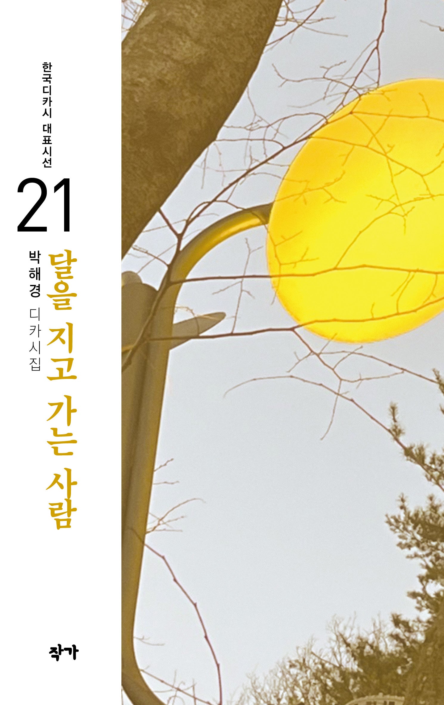 달을 지고 가는 사람(한국디카시 대표시선 22)