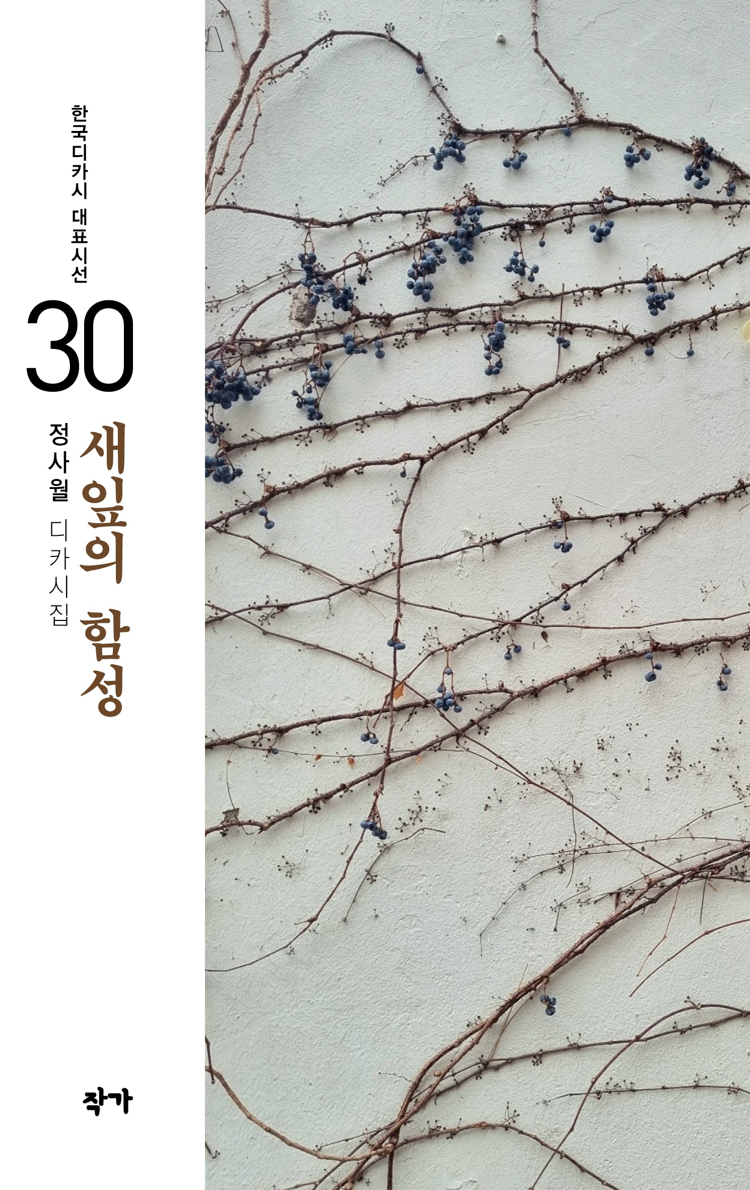 새잎의 함성(한국디카시 대표시선 30)