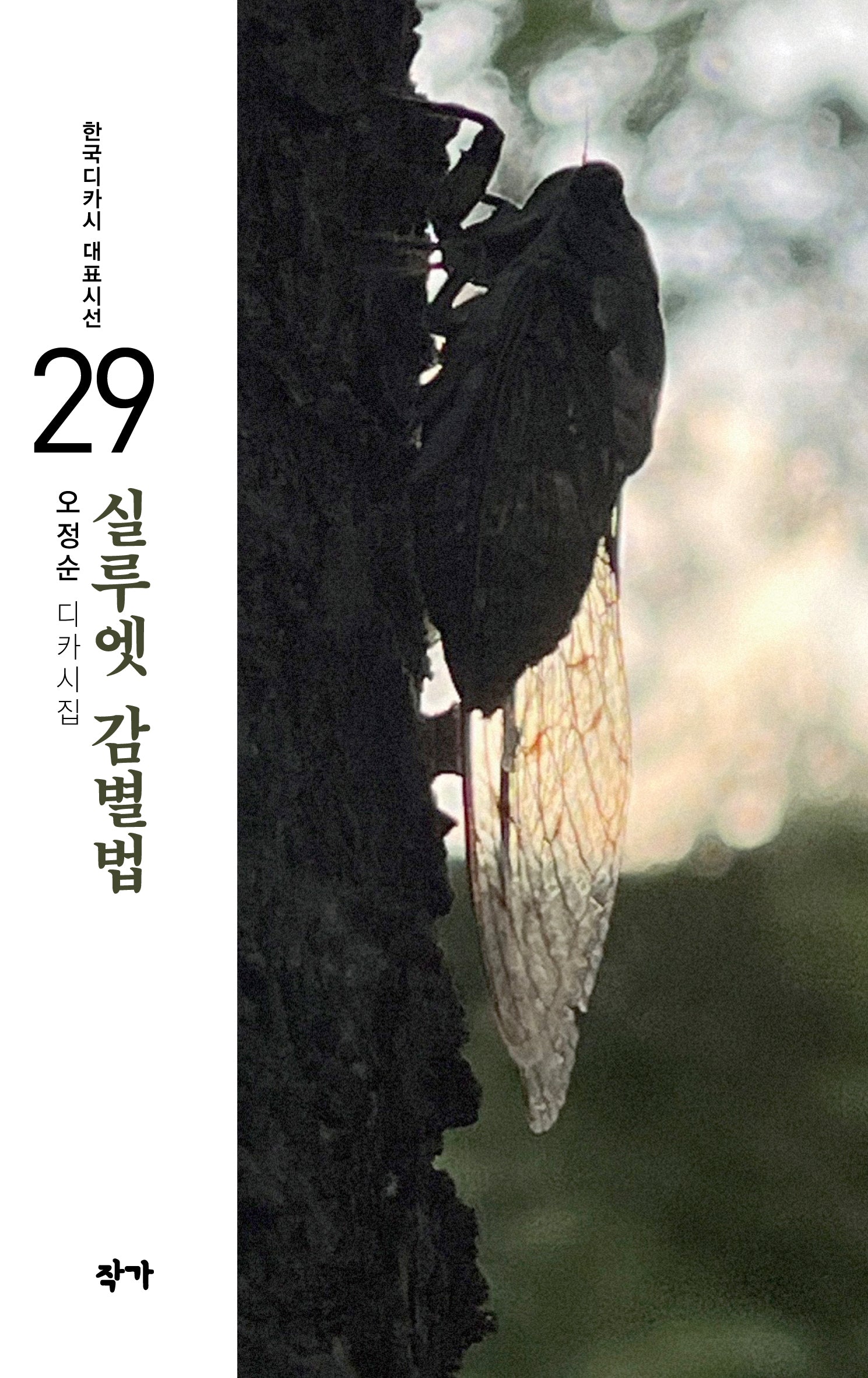 실루엣 감별법(한국디카시 대표시선 29)